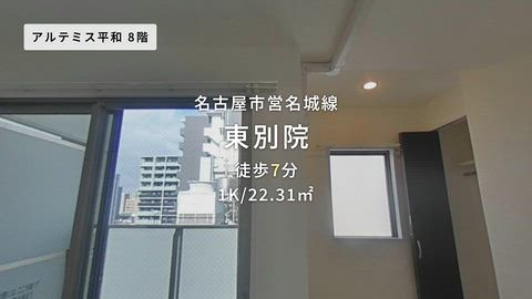 動画