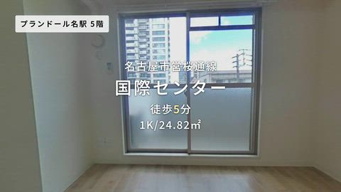 動画