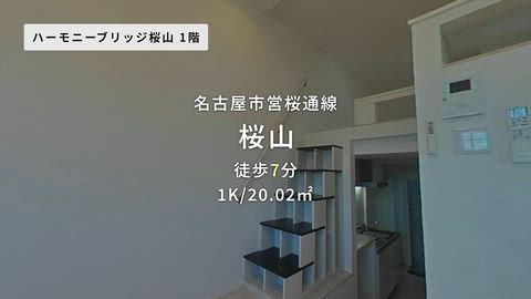 動画