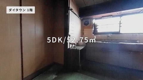 動画