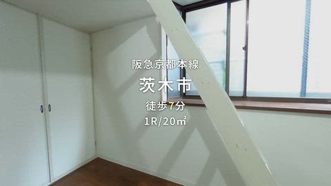 動画