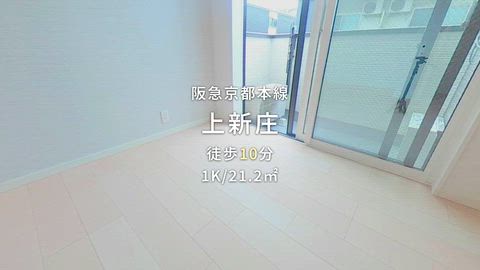 動画