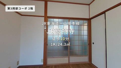 動画