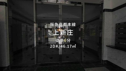 動画