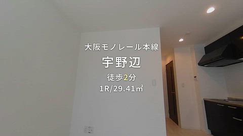 動画