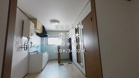 動画
