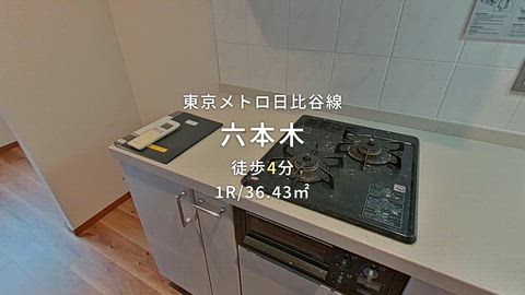 動画