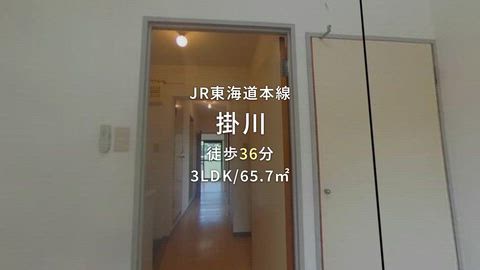 紹介ムービー