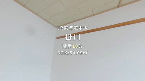 動画