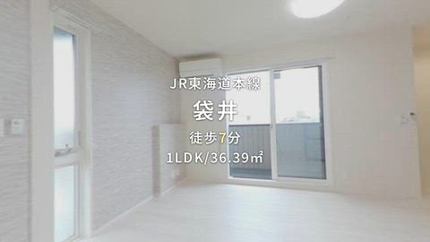 動画