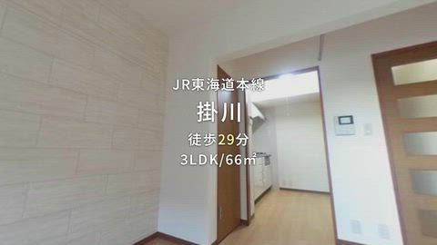 紹介ムービー