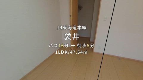 動画