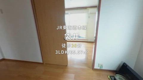 動画