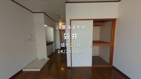 動画