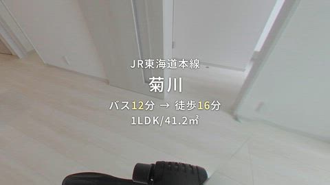 紹介ムービー