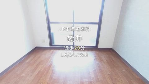動画
