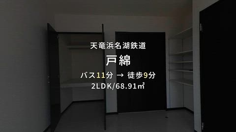 動画
