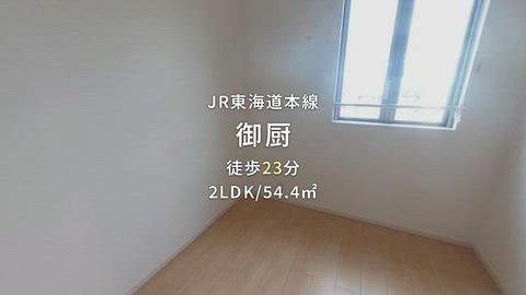 動画