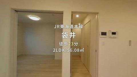動画