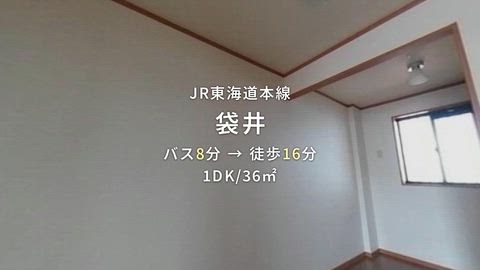 紹介ムービー