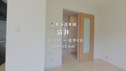 動画