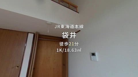 動画