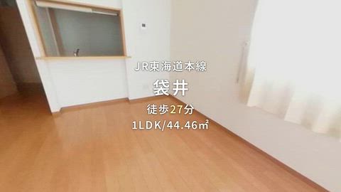 動画