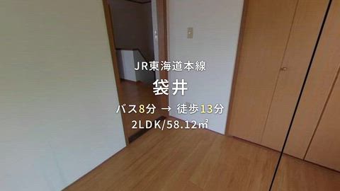 動画