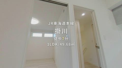 動画