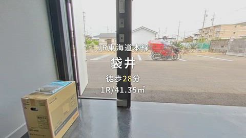 動画