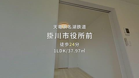 動画