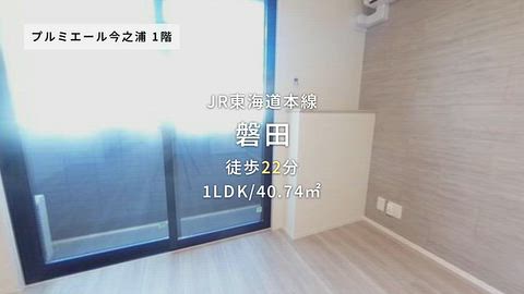 動画