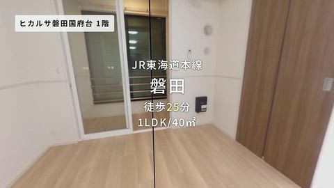 動画