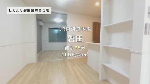 動画