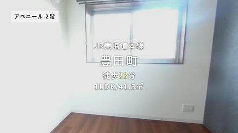 動画