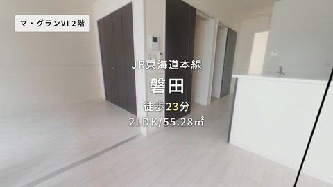 動画