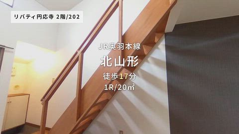動画