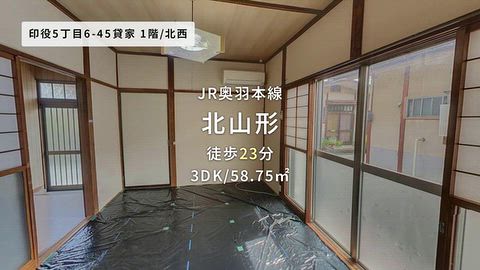 動画