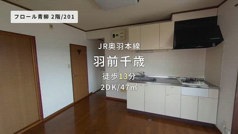 動画