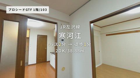 動画