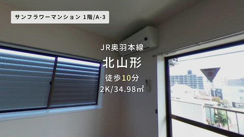 動画