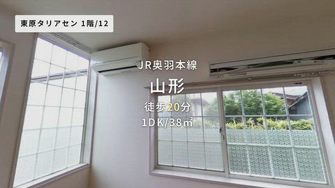 動画