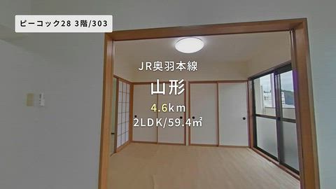 動画