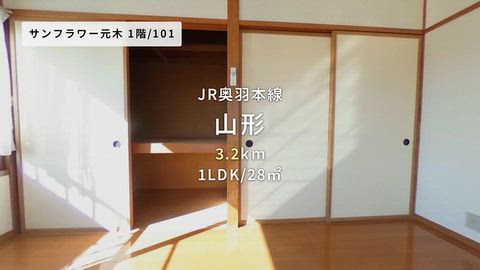動画