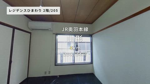 動画