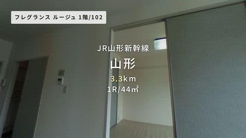 動画
