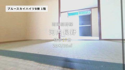 紹介ムービー