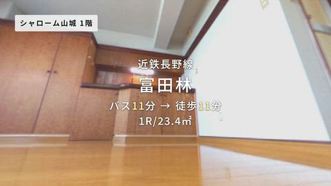 動画
