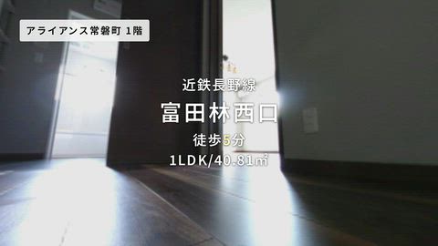 動画