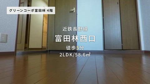 動画